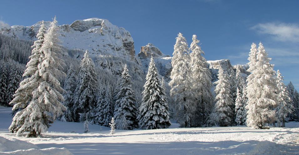 Winter paesaggio