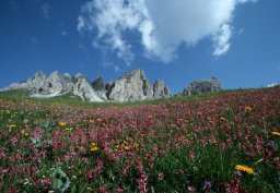 Dolomiti